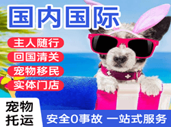 义乌机场托运国际宠物托运 【国